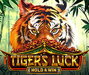 Tiger`s Luck - Hold & Win